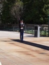 Solider at the Tomb of the Unknowns, Arlington, Virginia Royalty Free Stock Photo