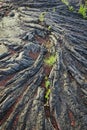 Solidified lava found in Pahoa on the big island of Hawaii