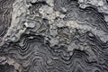 solidified lava forming intricate patterns
