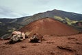 Solidified lava and old craters on the slope of the active volcano Etna Royalty Free Stock Photo