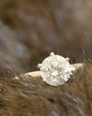 Solitaire diamond and mink Royalty Free Stock Photo