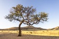 Solitaire is a remote settlement in Namibia, located on the edge of the Namib Desert Royalty Free Stock Photo