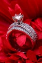 Solitaire wedding ring Royalty Free Stock Photo