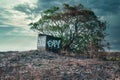 Solitary Abandoned Structure On Isolated Beach In Northern Australia