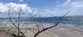 A solitary beach of Cahuita National Park in the Costa Rican Caribbean