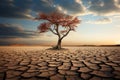 Solitary beauty lone tree resiliently standing in a cracked desert