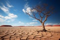 Solitary beauty lone tree resiliently standing in a cracked desert