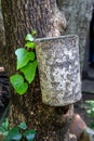 A solitary bee hotel for rewilding purposes Royalty Free Stock Photo