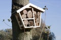 Solitary bee hotel Royalty Free Stock Photo