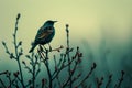Solitary Bird Resting on a Berry Branch in a Dreamy Misty Landscape at Twilight