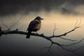 A solitary bird standing on a tree branch without leaves, looking out at the empty sky, generative ai illustration