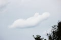 solitary cloud in the sky on a cloudy winter weather in the form of creature. Royalty Free Stock Photo