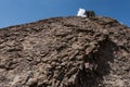 Solitary desert tree, New Mexico Royalty Free Stock Photo