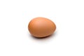 Solitary Egg