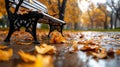 A solitary empty bench on a quiet park pathway surrounded by fallen leaves under an overcast sky with soft, diffused Royalty Free Stock Photo