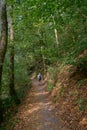 Solitary Female Hiker travels through lovely forest