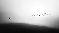 Solitary Figure and Flocking Birds in Misty Field Royalty Free Stock Photo