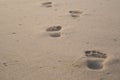 Solitary footprints in sand Royalty Free Stock Photo