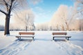 solitary footprints to bench under snow-laden trees