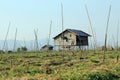 Solitary house on Inle Lake Royalty Free Stock Photo