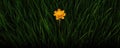 A solitary marigold standing proud amidst a wave of grass.. AI generation