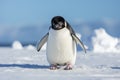 Solitary Penguin's March on a Crisp Antarctic Day - Embracing the Chill of the Wild. Generative AI