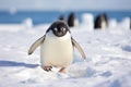 Solitary Penguin's March on a Crisp Antarctic Day - Embracing the Chill of the Wild. Generative AI