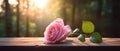 Solitary Pink Rose with Dew Drops at Sunrise in Serene Forest - Generative AI