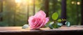 Solitary Pink Rose with Dew Drops at Sunrise in Serene Forest - Generative AI