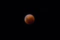 Solitary red moon lunar eclipse illuminated against a dark night sky Royalty Free Stock Photo