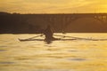 Solitary Rower at sunset