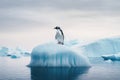 Solitary Sentinel: A Lone Penguin Stands Vigil on a Pristine Iceberg. Generative AI