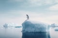 Solitary Sentinel: A Lone Penguin Stands Vigil on a Pristine Iceberg. Generative AI