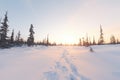 solitary snowshoe path leading off into a distant horizon