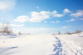 solitary snowshoe path leading off into a distant horizon Royalty Free Stock Photo