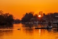 Solitary swan at sunset on the river Thames at Hampton