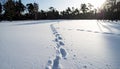 Footprints in a Snowy Winter Landscape at Sunrise Royalty Free Stock Photo