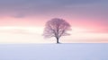 Solitary Tree Amidst a Winter Wonderland Beneath a Pink Sky.