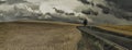 Solitary tree behind asphalt road and agriculture field with dramatic cloudy sky