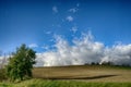 Solitary tree and blue sky landscape Royalty Free Stock Photo