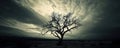 Solitary tree in a dramatic desert landscape under stormy skies Royalty Free Stock Photo