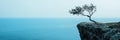 Solitary tree growing on edge of seaside cliff with ocean view Royalty Free Stock Photo