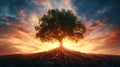 Solitary tree with roots exposed against dramatic sunset sky, serenity concept Royalty Free Stock Photo