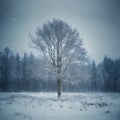 Solitary tree standing amidst snowy winter forest landscape, evoking solitude
