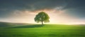 Solitary tree standing on a hilltop on beautiful sunrise, landscape panorama with vibrant green grass fields. Generative AI Royalty Free Stock Photo