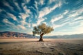 Solitary tree stands resilient in vast desert expanse, captivating solitude Royalty Free Stock Photo