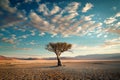 Solitary tree stands resilient in vast desert expanse, captivating solitude Royalty Free Stock Photo