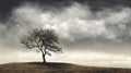 Solitary Tree on a hill with storm brewing