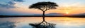 A solitary tree submerged in a lake, sun setting behind, distant mountain range Royalty Free Stock Photo