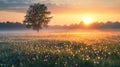 Solitary Tree Sunrise Dewy Field Golden Light Royalty Free Stock Photo